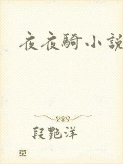 夜夜骑小说