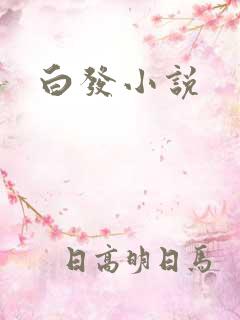 白发小说