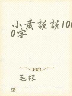 小黄说说1000字
