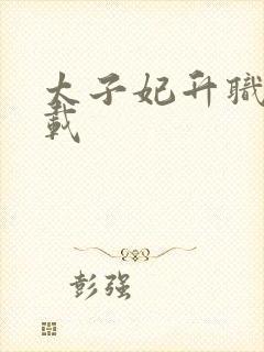 太子妃升职记下载