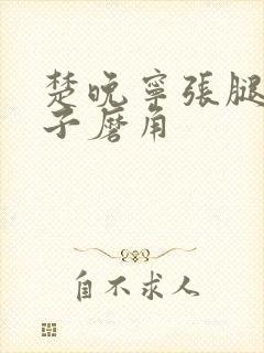 楚晚宁张腿放棋子磨角