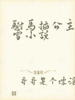 驸马插公主恋战雪小说