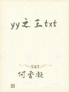 yy之王txt