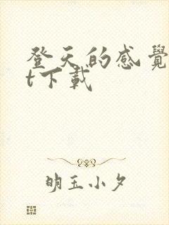 登天的感觉txt下载