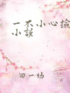 一不小心捡到爱小说