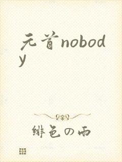 元首nobody