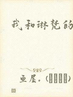 我和琳梵的故事