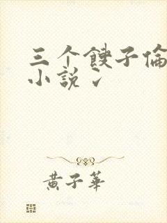 三个馊子伦着玩小说冫