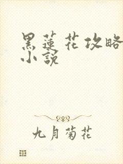 黑莲花攻略手册小说