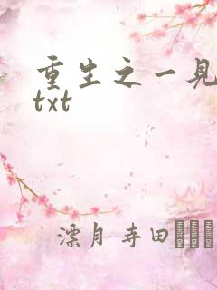 重生之一见倾心txt