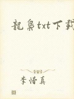 龙枭txt下载