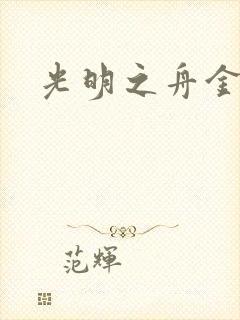 光明之舟金手指