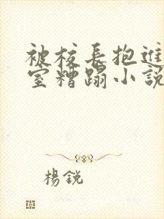 被校长抱进办公室糟蹋小说