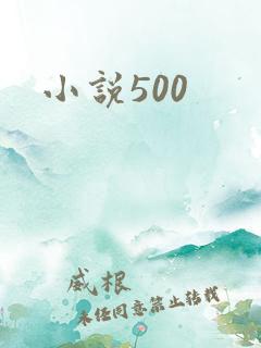 小说500