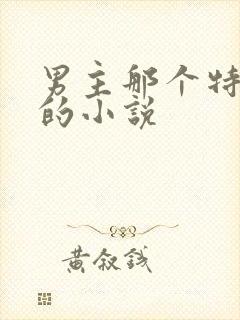 男主那个特别大的小说