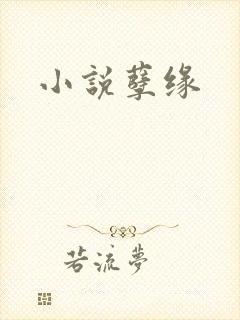 小说孽缘