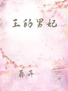 王的男妃