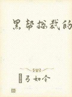 黑帮总裁的宠妻