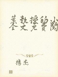 叶教授的小黏糖全文免费阅读