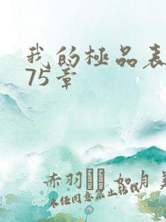 我的极品表嫂第75章