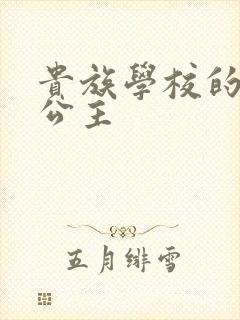 贵族学校的双面公主