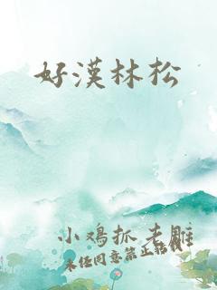 好汉林松