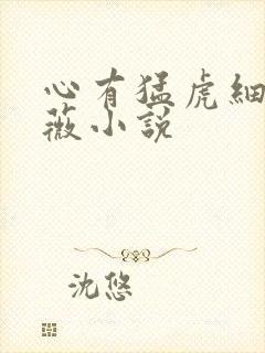 心有猛虎细嗅蔷薇小说
