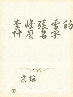 李峰张雪的书叫什么名字