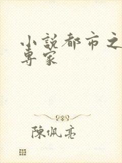 小说都市之军火专家