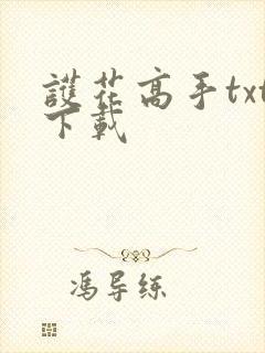 护花高手txt下载