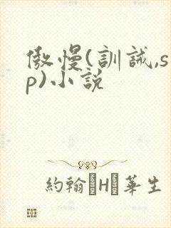 傲慢(训诫,sp)小说