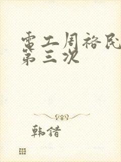 电工周裕民刘芳第三次