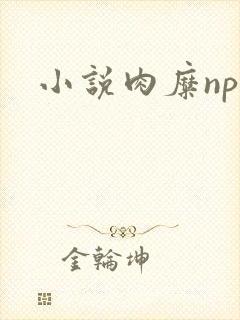 小说肉糜np