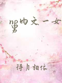 np肉文一女多男