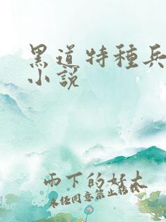 黑道特种兵有声小说