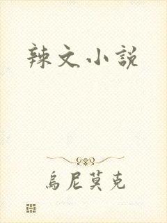 辣文小说