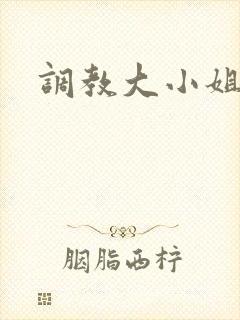 调教大小姐