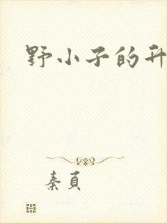 野小子的升官路