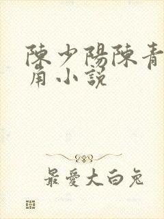 陈少阳陈青帝主角小说