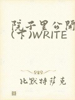 院子里公开惩戒(下)WRITE