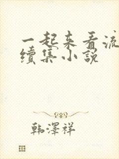 一起来看流星雨续集小说