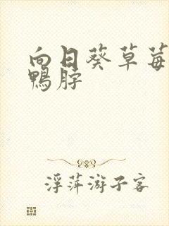 向日葵草莓丝瓜鸭脖