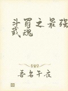 斗罗之最强治疗武魂