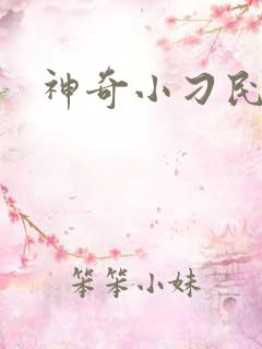 神奇小刁民