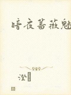 暗夜蔷薇魅之伤