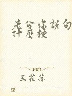 老公你说句话啊什么梗