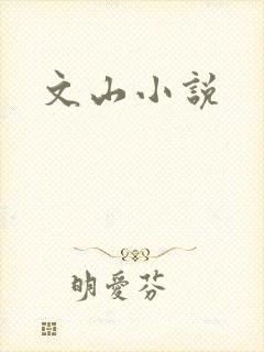 文山小说