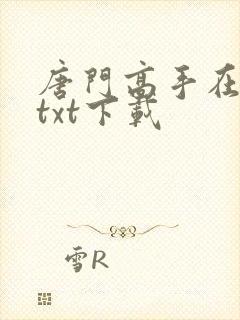 唐门高手在异世txt下载