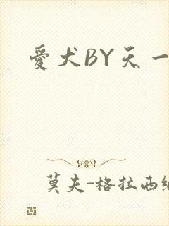 爱犬BY天一