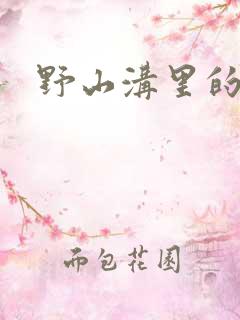 野山沟里的村庄